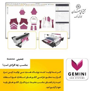 جمینی مناسب چه کسانی است؟