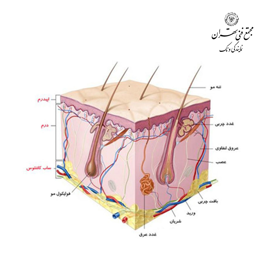 نکات کلیدی در مراقبت از پوست