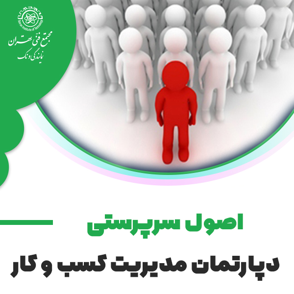 اصول سرپرستی